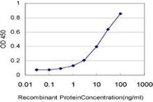 Detection limit for recombinant GST tagged NUP62 is approximately 1ng/ml as a capture antibody. (NUP62 antibody  (AA 423-522))