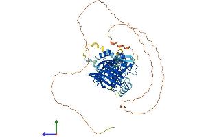 AlphaFold protein structure predicition of Human Recombinant KAT7 Protein, UniprotID O95251 (MYST2 Protein (AA 1-611) (His tag))