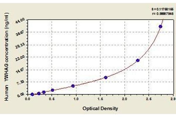 14-3-3 gamma ELISA Kit