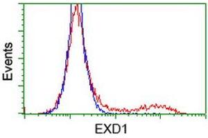 HEK293T cells transfected with either RC206223 overexpress plasmid (Red) or empty vector control plasmid (Blue) were immunostained by anti-EXD1 antibody (ABIN2453985), and then analyzed by flow cytometry. (EXD1 antibody)
