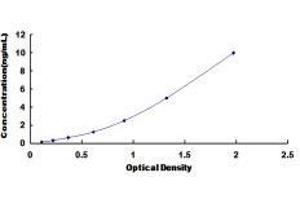 phospholipid Scramblase 1 (PLSCR1) ELISA Kit