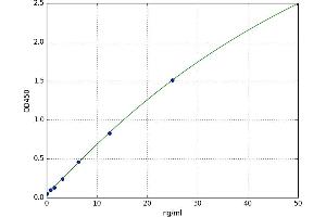 Cardiolipin Synthase (CLS) ELISA Kit