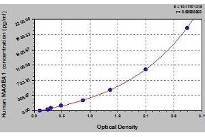 MAGEA1 ELISA Kit