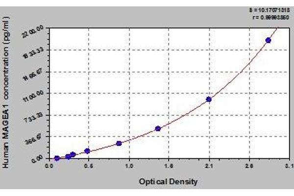 MAGEA1 ELISA Kit