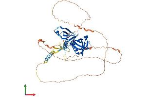 Protein Structure (PS) image for Docking Protein 7 (DOK7) (AA 1-504) protein (His tag) (ABIN7547206)