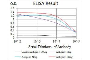 ELISA image for anti-Fibronectin 1 (FN1) antibody (ABIN1846248) (Fibronectin 1 antibody)