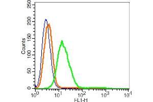 RSC96 cells probed with GPR55 Polyclonal Antibody, ALEXA FLUOR® 488 Conjugated (bs-7686R-A488) at 1:2 for 30 minutes compared to control cells (blue) and isotype control (orange). (GPR55 antibody  (AA 141-240) (Alexa Fluor 488))