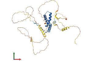 Protein Structure (PS) image for SRY (Sex Determining Region Y)-Box 1 (SOX1) (AA 1-391) protein (His tag) (ABIN7546260)