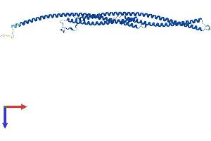 Protein Structure (PS) image for Tektin 2 (Testicular) (TEKT2) (AA 1-430) protein (His tag) (ABIN7544247)