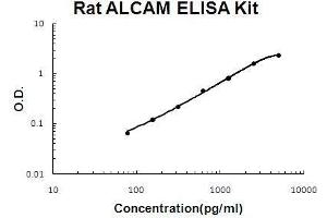 Rat ALCAM PicoKine ELISA Kit standard curve (CD166 ELISA Kit)