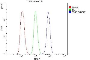 Flow Cytometry analysis of THP-1 cells using anti-FDPS antibody (ABIN7601131). (FDPS antibody  (AA 29-397))