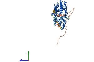 AlphaFold protein structure predicition of Human Recombinant MFSD4B Protein, UniprotID Q5TF39 (KIAA1919 Protein (KIAA1919) (AA 1-518) (His tag))