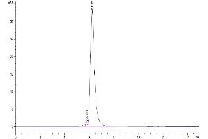 The purity of Biotinylated Human VEGF R2 is greater than 95 % as determined by SEC-HPLC. (VEGFR2/CD309 Protein (AA 20-764) (mFc Tag,Biotin))
