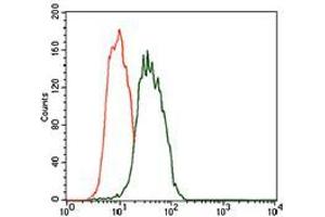 Flow cytometric analysis of HEK293 cells using FCER1A mouse mAb (green) and negative control (red). (Fc epsilon RI/FCER1A antibody  (AA 42-103))