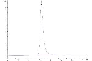 The purity of Human Nectin-3 is greater than 95 % as determined by SEC-HPLC. (nectin-3 Protein (AA 58-400) (His-Avi Tag))