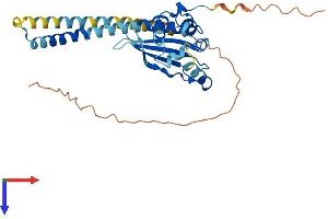 Protein Structure (PS) image for Testis Specific Protein, Y-Linked 3 (TSPY3) (AA 1-308) protein (His tag) (ABIN7544833)