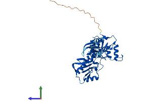 AlphaFold protein structure predicition of Mouse Recombinant Nif3l1 Protein, UniprotID Q9EQ80