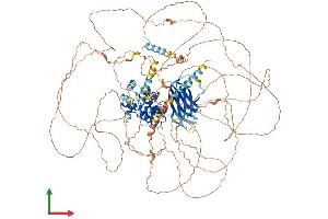 AlphaFold protein structure predicition of Human Recombinant SYDE2 Protein, UniprotID Q5VT97 (SYDE2 Protein (AA 1-1194) (His tag))