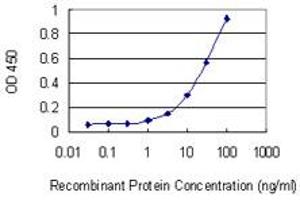 Detection limit for recombinant GST tagged NPM1 is 0. (NPM1 antibody  (AA 1-294))