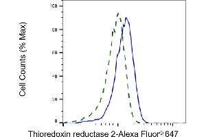 Validation of Thioredoxin reductase 2 knockdown using flow cytometry. (Recombinant TXNRD2 antibody)