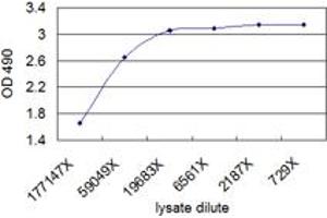 ELISA image for CNN1 (Human) Matched Antibody Pair (ABIN1341014)