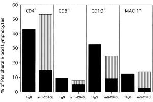 Anti-CD154-facilitated alloengraftment is multilineage. (Hamster IgG Isotype Control)