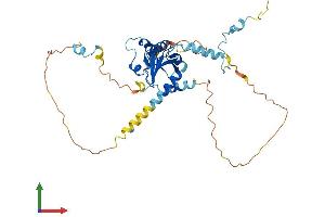 AlphaFold protein structure predicition of Mouse Recombinant Cep41 Protein, UniprotID Q99NF3 (CEP41 Protein (AA 1-373) (His tag))