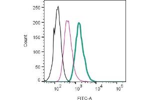 anti-Solute Carrier Family 9, Subfamily A (NHE1, Cation Proton Antiporter 1), Member 1 (SLC9A1) (AA 54-67), (Extracellular) antibody (FITC)