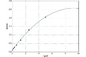 TYRO Protein tyrosine Kinase Binding Protein (TYROBP) ELISA Kit