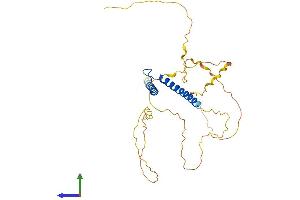 Protein Structure (PS) image for T-Cell Acute Lymphocytic Leukemia 1 (TAL1) (AA 1-329) protein (His tag) (ABIN7562965)