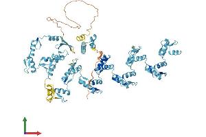 AlphaFold protein structure predicition of Human Recombinant ZNF585B Protein, UniprotID Q52M93