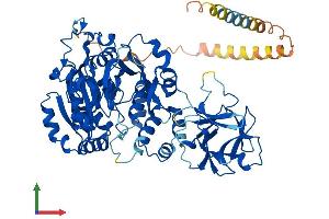 AlphaFold protein structure predicition of Mouse Recombinant Galnt6 Protein, UniprotID Q8C7U7 (GALNT6 Protein (AA 1-622) (His tag))