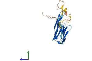 AlphaFold protein structure predicition of Mouse Recombinant Cryab Protein, UniprotID P23927 (CRYAB Protein (AA 1-175) (His tag))