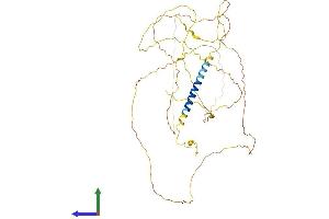 AlphaFold protein structure predicition of Human Recombinant HEMGN Protein, UniprotID Q9BXL5 (HEMGN Protein (AA 1-484) (His tag))