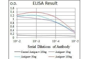 Black line: Control Antigen (100 ng), Purple line: Antigen(10 ng), Blue line: Antigen (50 ng), Red line: Antigen (100 ng), (DLL4 antibody  (AA 313-439))