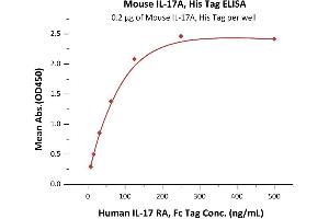 Immobilized Mouse IL-17A, His Tag (ABIN5526596,ABIN6809994) at 2 μg/mL (100 μL/well) can bind Human IL-17 RA, Fc Tag (ABIN2181346,ABIN2181345) with a linear range of 4-125 ng/mL (QC tested).
