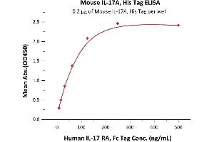 Immobilized Mouse IL-17A, His Tag (ABIN5526596,ABIN6809994) at 2 μg/mL (100 μL/well) can bind Human IL-17 RA, Fc Tag (ABIN2181346,ABIN2181345) with a linear range of 4-125 ng/mL (QC tested). (Interleukin 17a Protein (AA 26-158) (His tag))