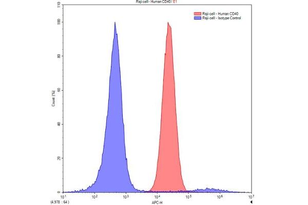 CD40 antibody  (AA 26-187)