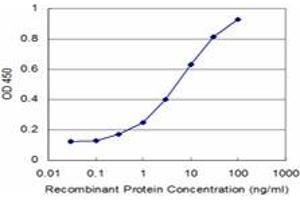 Detection limit for recombinant GST tagged DOCK4 is approximately 0. (DOCK4 antibody  (AA 1867-1966))
