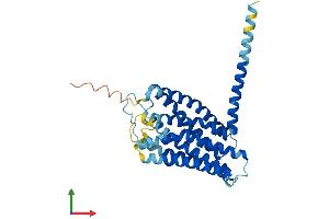 AlphaFold protein structure predicition of Mouse Recombinant Gpr18 Protein, UniprotID Q8K1Z6 (GPR18 Protein (AA 1-331) (His tag))