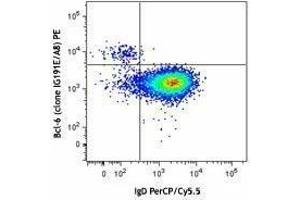 Flow Cytometry (FACS) image for anti-B-Cell CLL/lymphoma 6 (BCL6) antibody (PE) (ABIN2662401) (BCL6 antibody  (PE))