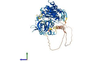 Protein Structure (PS) image for Protein Kinase C, epsilon (PRKCE) (AA 1-737) protein (His tag) (ABIN7554384)