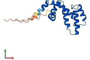 AlphaFold protein structure predicition of Human Recombinant RGS21 Protein, UniprotID Q2M5E4 (RGS21 Protein (AA 1-152) (His tag))