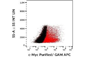 Detection of transfected LST-1-c-Myc in HEK-293 cells (red) compared with nontransfected HEK-293 cells (black) using mouse monoclonal anti-c-Myc (9E10) purified, GAM-APC. (Myc Tag antibody  (C-Term))