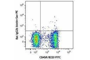 Flow Cytometry (FACS) image for anti-Chemokine (C-X-C Motif) Receptor 5 (CXCR5) antibody (Biotin) (ABIN2660751) (CXCR5 antibody  (Biotin))
