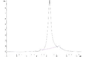 The purity of Cynomolgus DLL3 Protein is greater than 95 % as determined by SEC-HPLC. (DLL3 Protein (AA 27-477) (His tag))