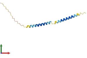 AlphaFold protein structure predicition of Mouse Recombinant Tceal7 Protein, UniprotID A3KGA4 (TCEAL7 Protein (AA 1-98) (His tag))