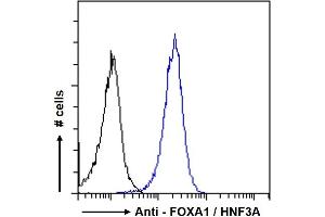 ABIN185021 Flow cytometric analysis of paraformaldehyde fixed MCF7 cells (blue line), permeabilized with 0. (FOXA1 antibody  (C-Term))