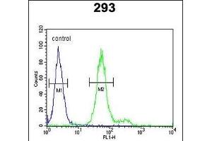 ADTS18 Antibody (C-term) (ABIN652853 and ABIN2842553) flow cytometric analysis of 293 cells (right histogr) compared to a negative control cell (left histogr).