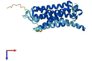 AlphaFold protein structure predicition of Human Recombinant OR8H2 Protein, UniprotID Q8N162 (OR8H2 Protein (AA 1-312) (His tag))